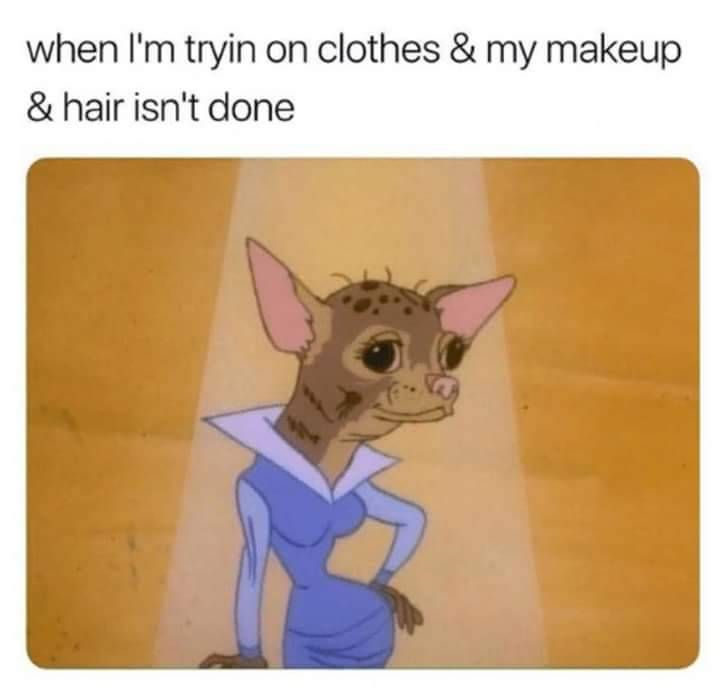 Chihuahua-Meme-Makeup Relatable Chihuahua Memes