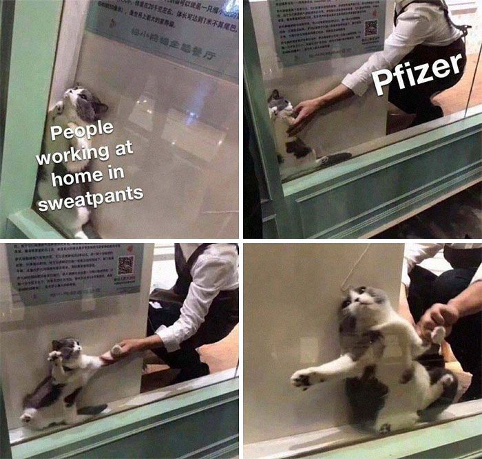 Funny Covid Vaccine Memes Funny Covid Vaccine Memes