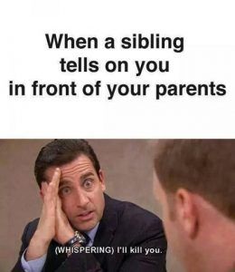 Dc809485A7C9Ec653F1E31A7B4Ffecbf_0 Funny Sibling Memes