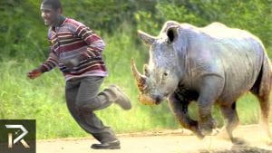 20 Amazing Posts About Animals Close Encounters