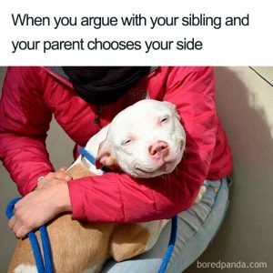 Funny-Siblings-Memes-4-5C9E24Ddf127D__700 Funny Sibling Memes