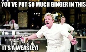 Ginger-Gordon-Ramsay-Memes Hilarious Gordon Ramsey Memes