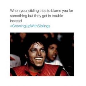 Growing-Up-With-Siblings-16_650_Instagram Funny Sibling Memes