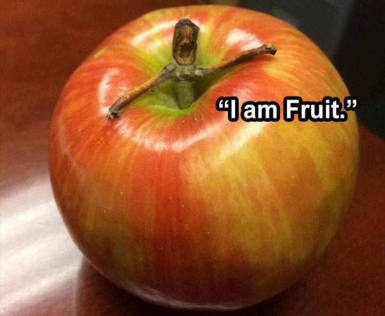 Hilarious Animal Meme Pics