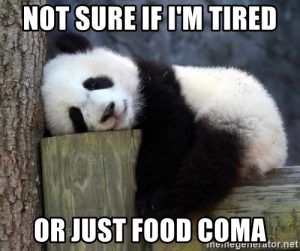 Not-Sure-If-Im-Tired-Or-Just-Food-Coma Hilarious Food Memes