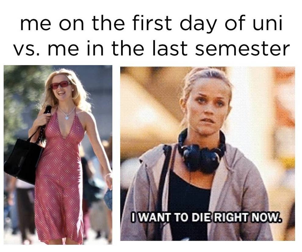 20 Funny University Memes For Students 