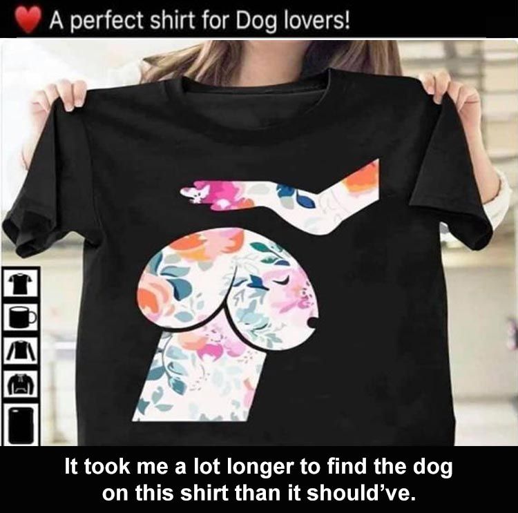 Memes Of The Day