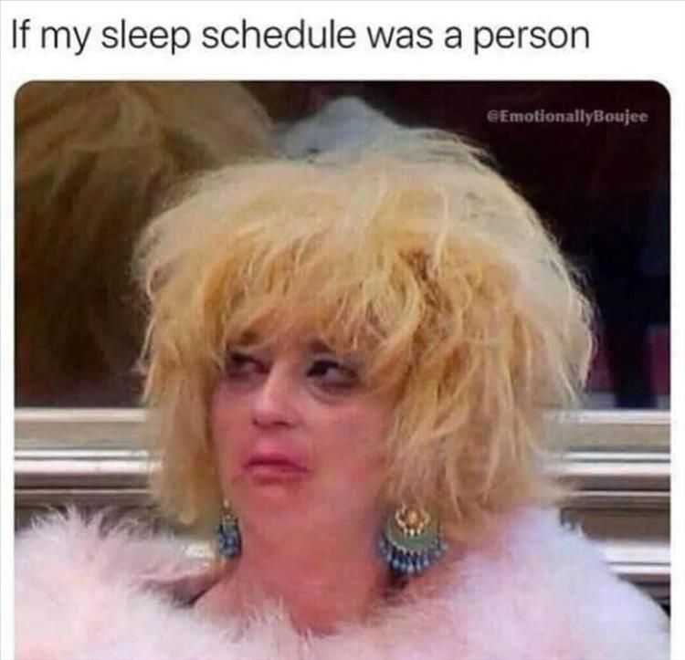 Memes Of The Week To Share With Friends