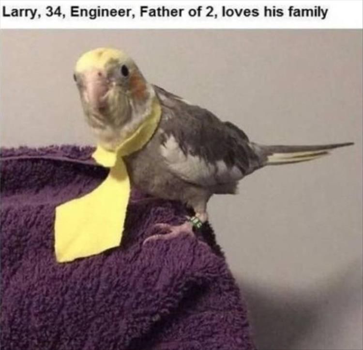 Cutest Animal