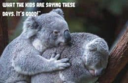 Top 32 Funny Animal Memes Of The Day 60897875D8091