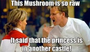 Unnamed Funny Gordan Ramsey Memes