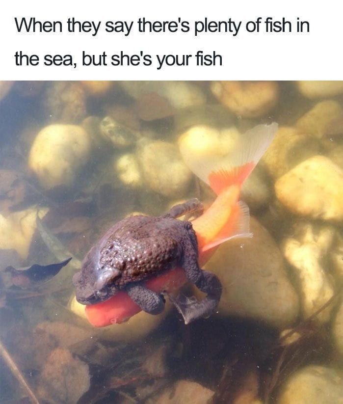 20 Hilarious Relationship Memes To Share With Your Partner