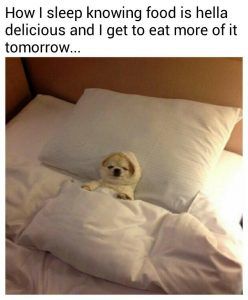 Yfgq7B5Popv31 Hilarious Food Memes