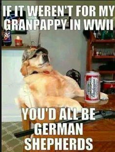 0Fac2F7807153037247Cda08470Dcc2A Memorial Day Funny Memes