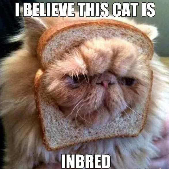 20 Hilarious Puns To Get Your Week Started 