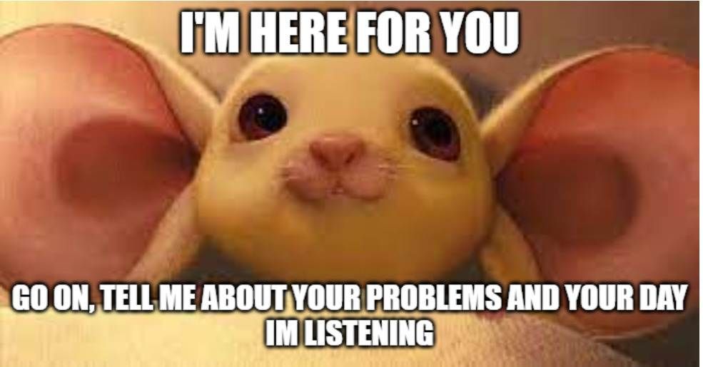 22 Cute And Wholesome Memes To Share With Friends