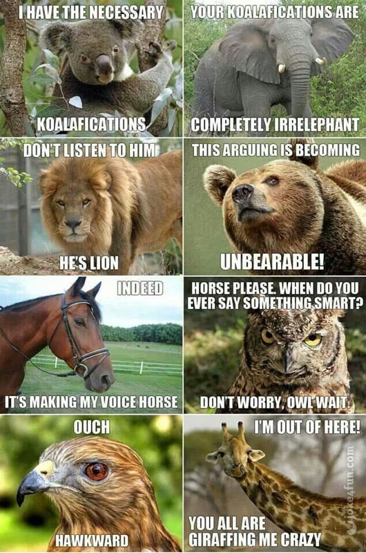 20 Hilarious Puns To Get Your Week Started 