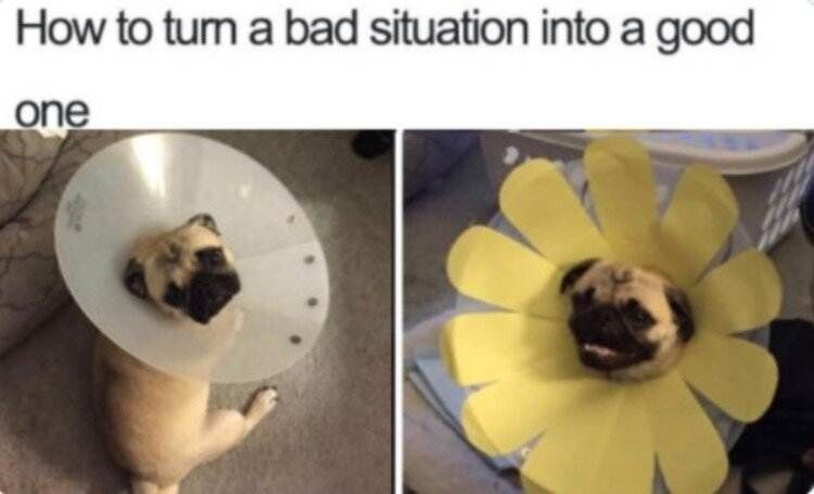 22 Cute And Wholesome Memes To Share With Friends