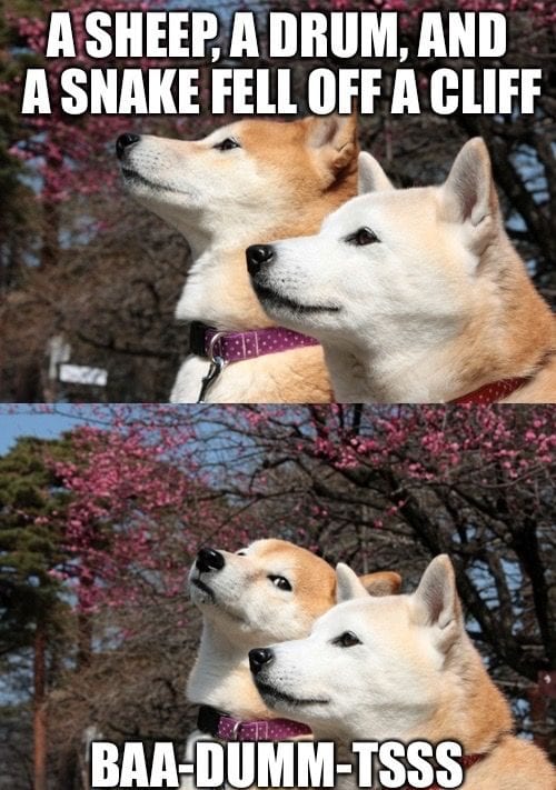 20 Hilarious Puns To Get Your Week Started 