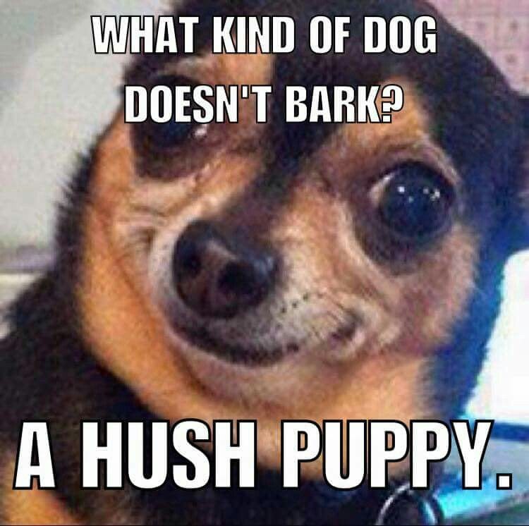 20 Hilarious Puns To Get Your Week Started 