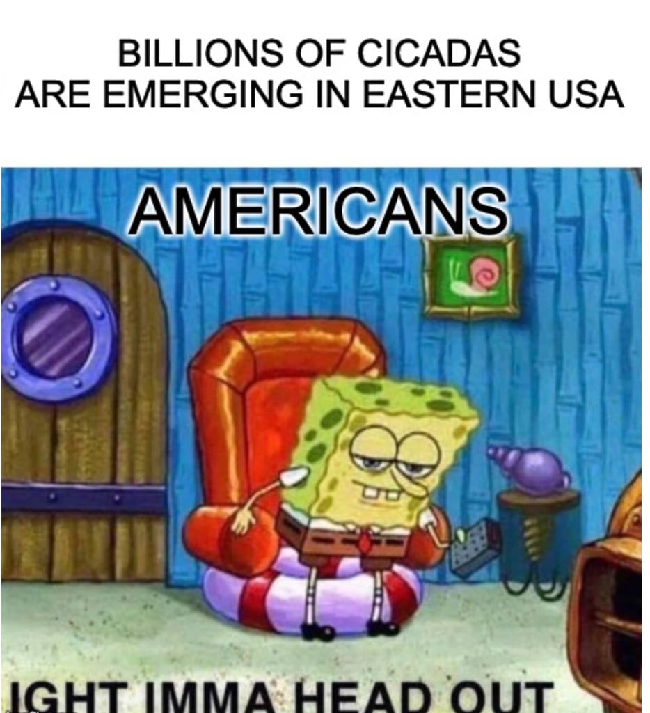 Billions Of Cicadas Emerging Meme