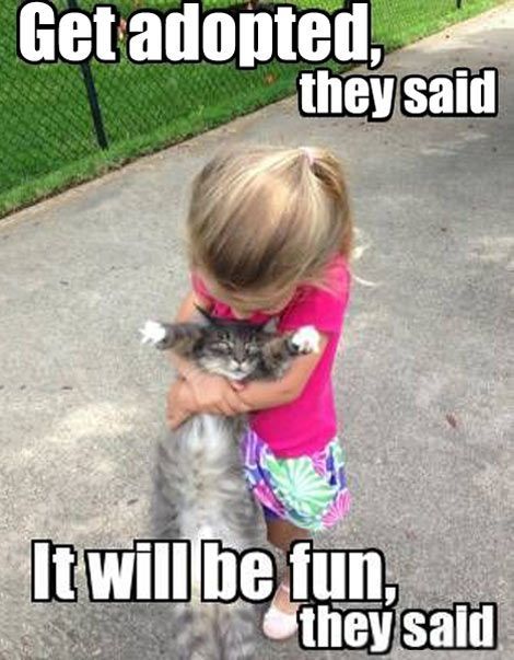 20 Hilarious Pet Memes For Animal Lovers
