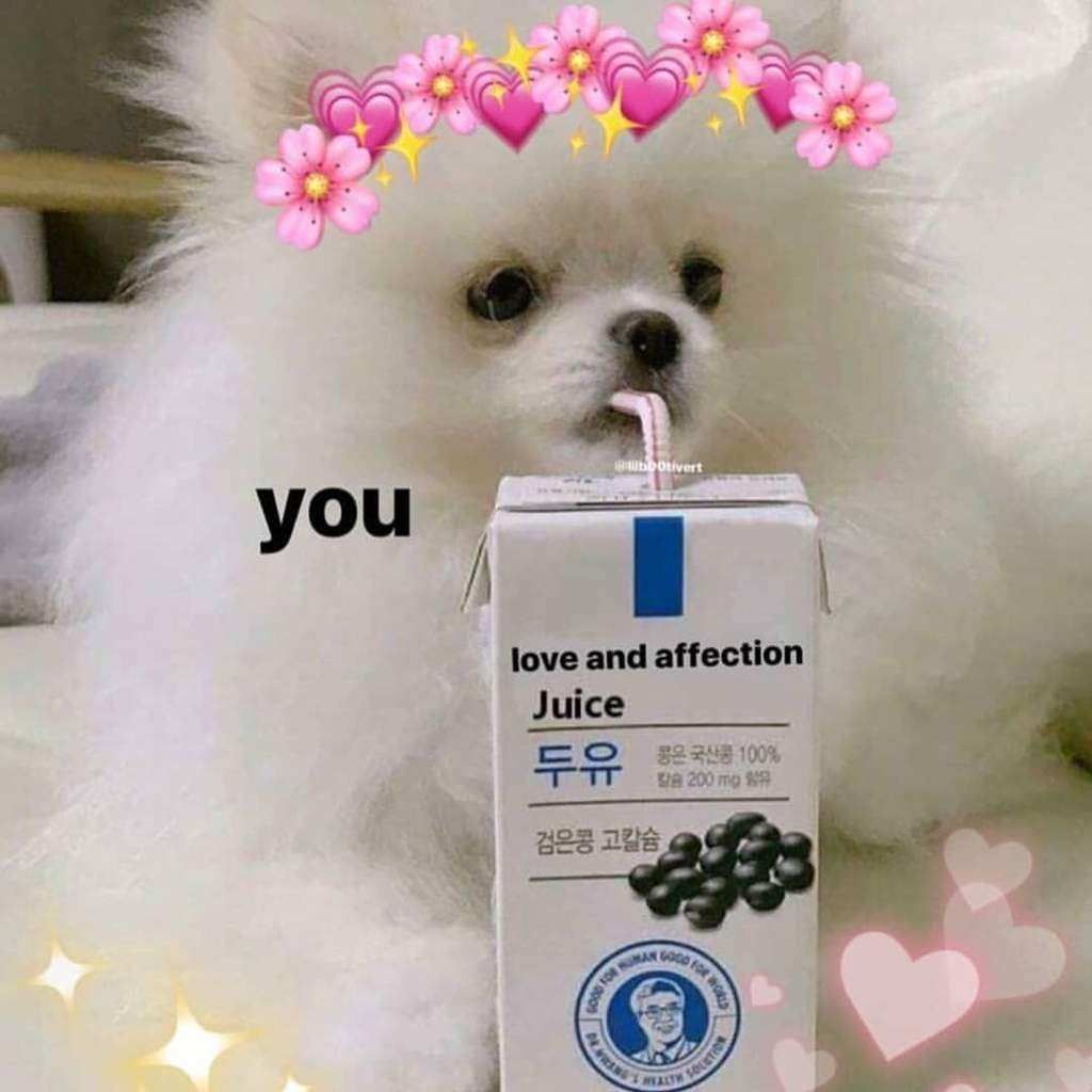 22 Cute And Wholesome Memes To Share With Friends