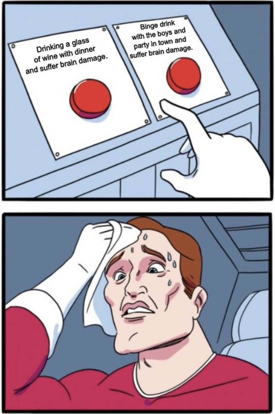Any Alcohol Damages Brain Meme