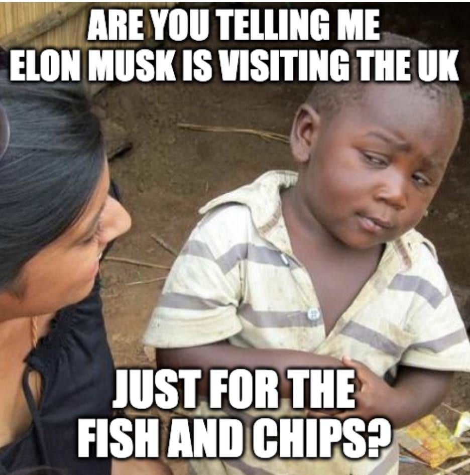 Elon Musk Uk Visit Spurs Tesla Plant Rumor Meme