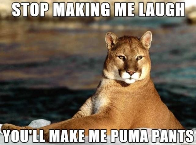 20 Hilarious Puns To Get Your Week Started 