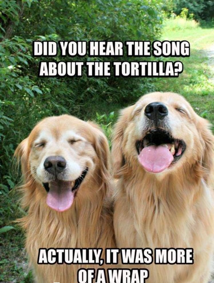 20 Hilarious Puns To Get Your Week Started 