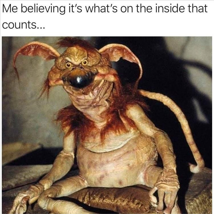 Hilarious Animal Meme Pics