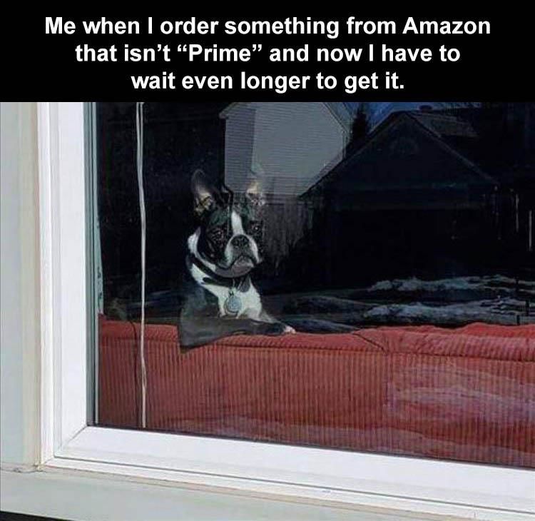 Hilarious Memes For Mothers Day