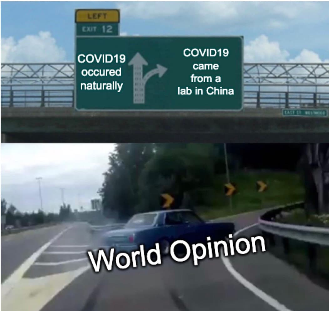 Need To Find Covid Origin Meme
