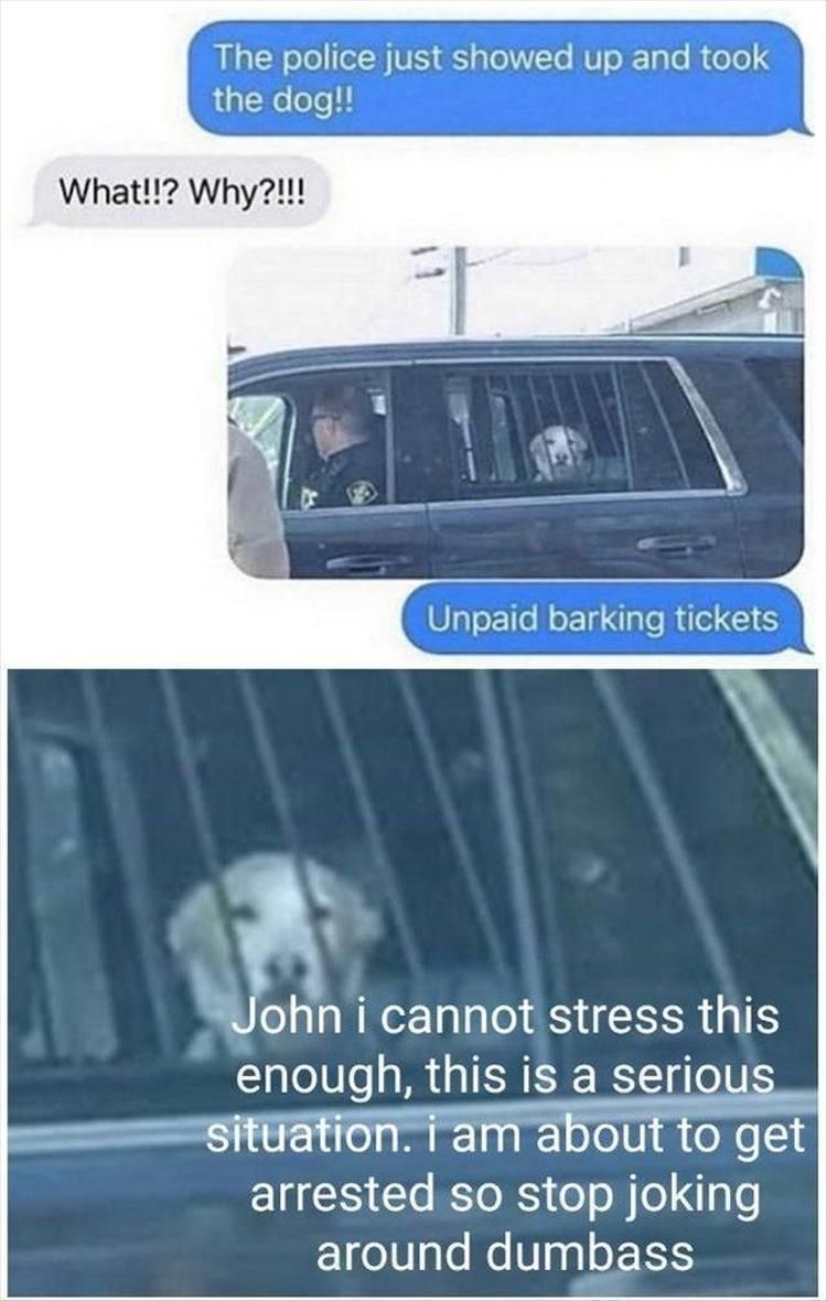 Worlds Funniest Animal Memes