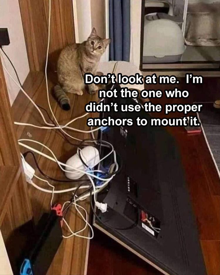 Cute Animal Memes Pics