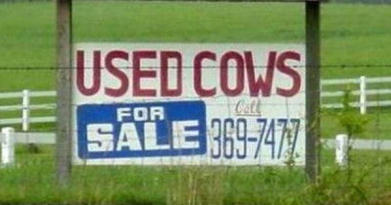 20 Hilarious Signs That Will Definitely Make You Laugh