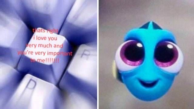 22 Cute And Wholesome Memes To Share With Friends