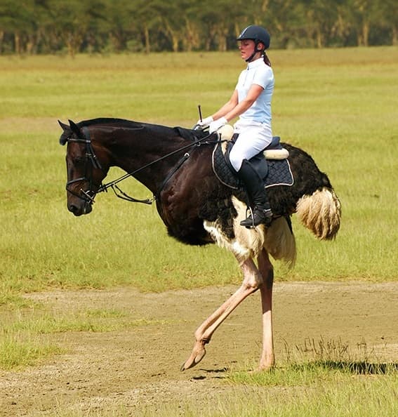 15 Extremely Funny Photoshop Fails You Must See