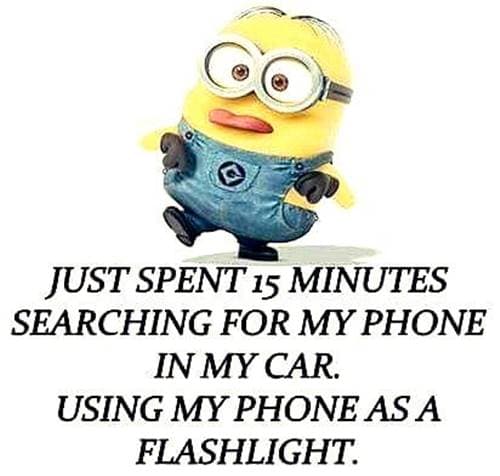 20 Cute And Funny Minion Quotes