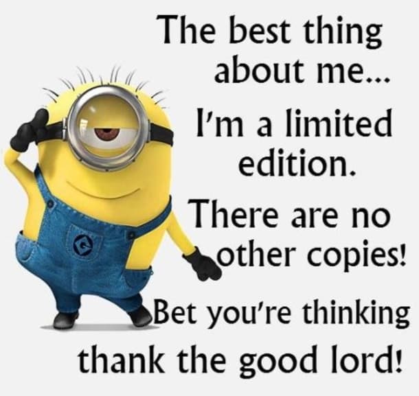 20 Cute And Funny Minion Quotes