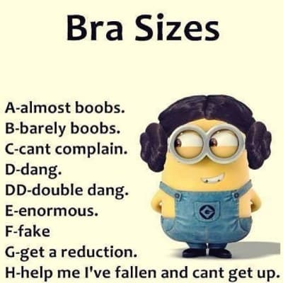 20 Cute And Funny Minion Quotes