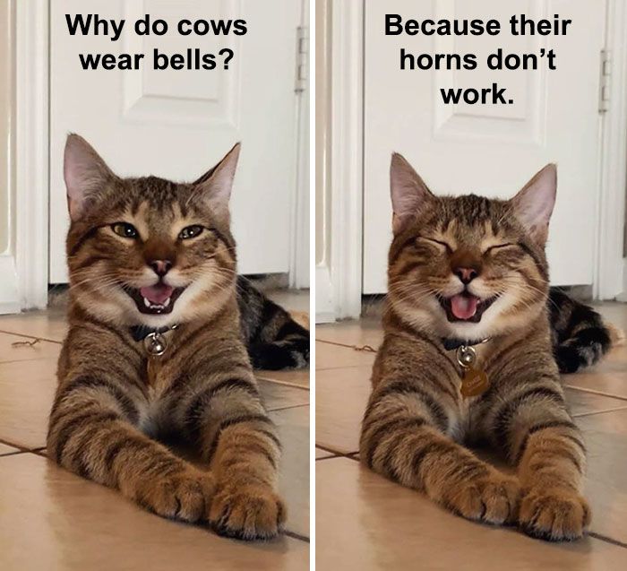 22 Extremely Funny Dad Jokes To Prepare Yourself For Fathers Day