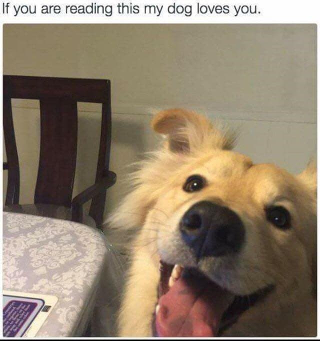 15 Warm And Fuzzy Memes That Will Brighten Up Your Day