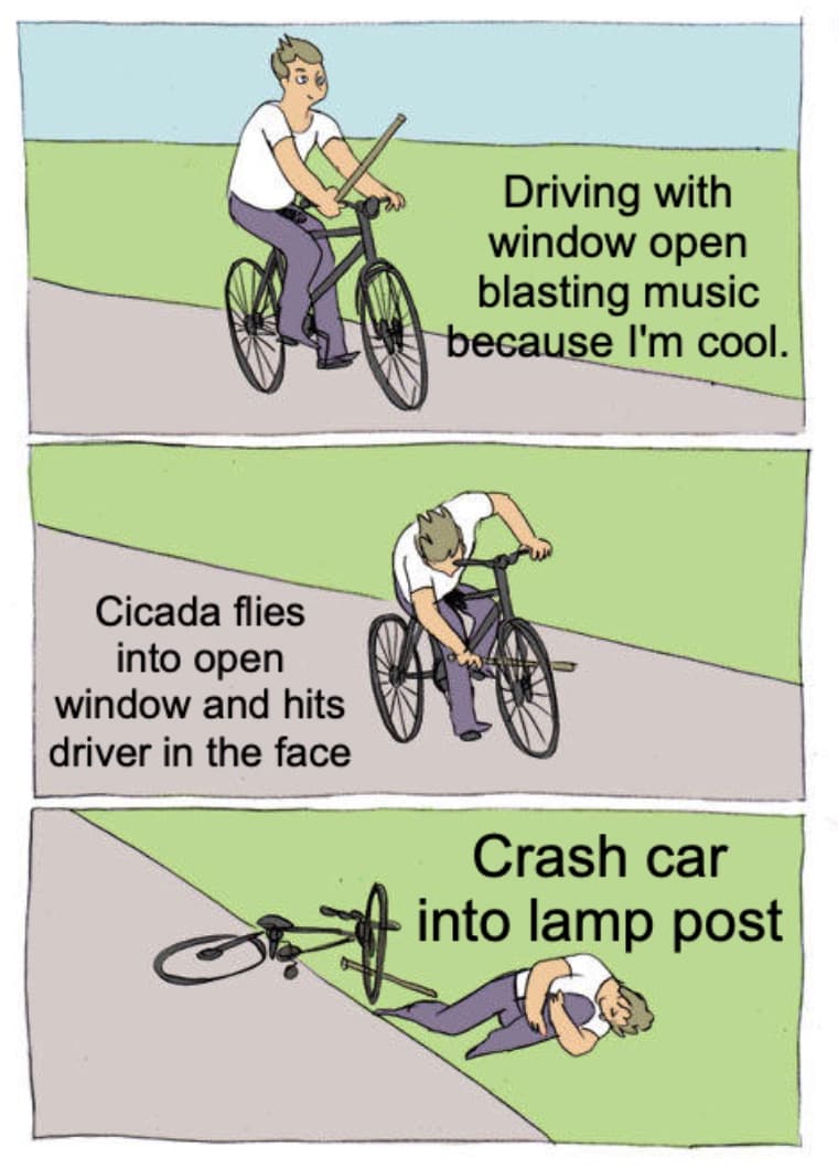 Driver Crashes Car Due Cicada Meme