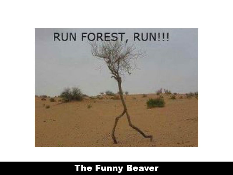 Drought Memes 15 1