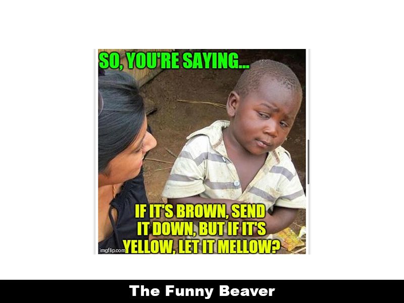 Drought Memes 22 1