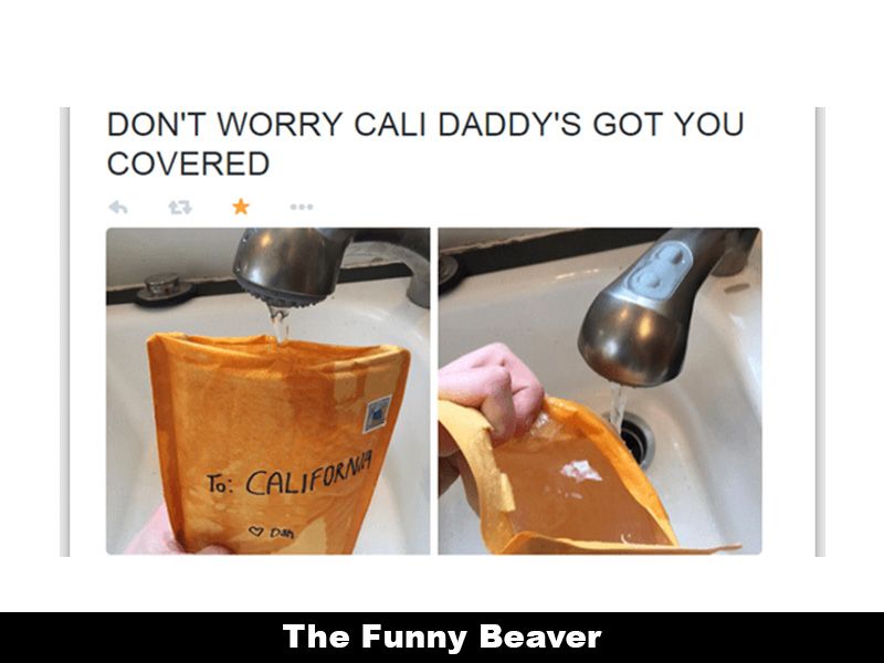 Drought Memes 23 1
