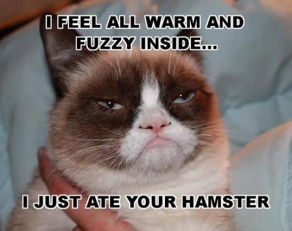 15 Warm And Fuzzy Memes That Will Brighten Up Your Day