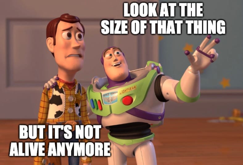 Largest Dinosaur Found In Australia Meme